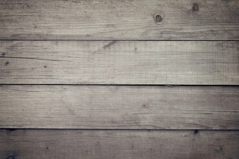 Maple and birch cabinet door samples on a workshop bench in natural light
