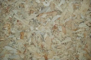 Marine Plywood vs Pressure Treated Plywood: Rot Test