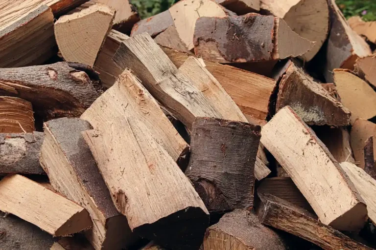 Split oak and hickory firewood stacked beside a lit fire pit in natural light