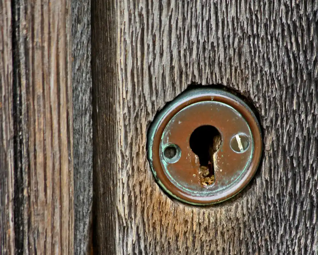 Close-up of a pocket hole joint with a caliper and pocket screw lengths beside it