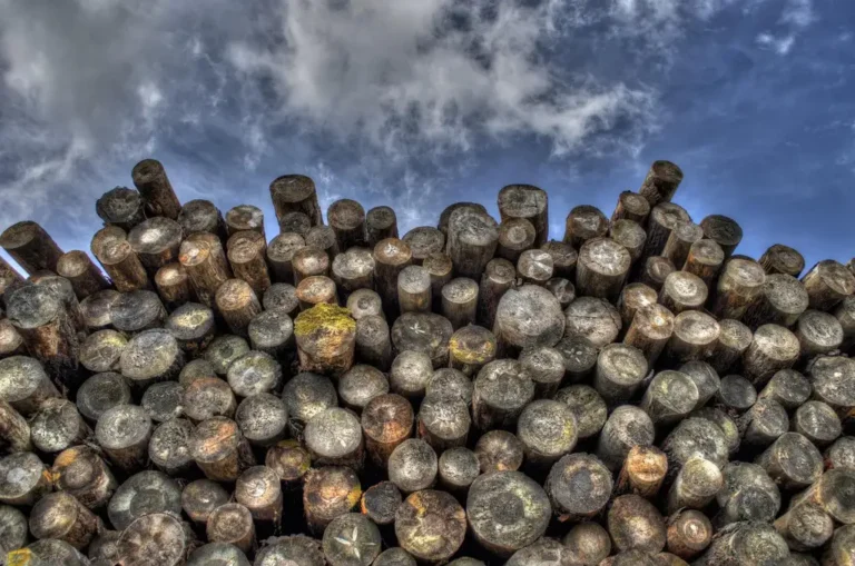 Seasoned firewood stacked outdoors after rain, with some damp logs under a tarp