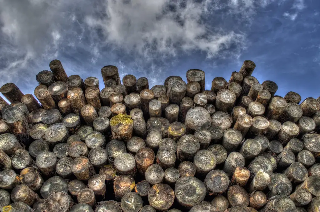 Seasoned firewood stacked outdoors after rain, with some damp logs under a tarp