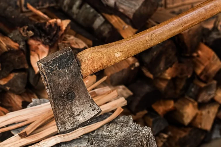 Softwood and hardwood firewood stacked beside a wood stove with a small starting fire