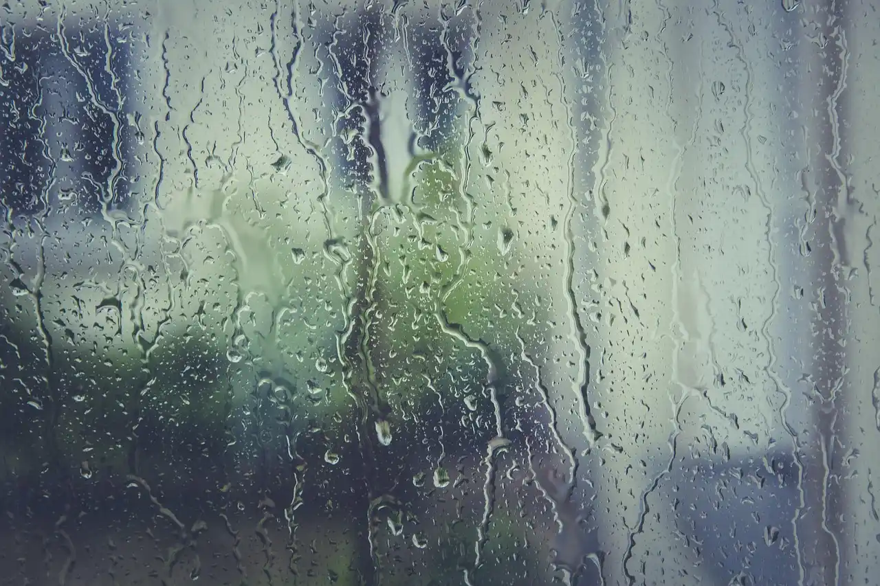 What moisture damage risks shorten hardwood floor life?