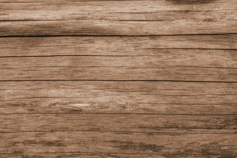 Wide plank and narrow plank flooring side by side in a small sunlit living room