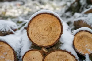 Winter Wood Care: Decks, Fences, Doors and Furniture