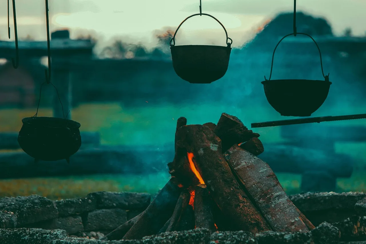 Start here: firewood burning vs craft wood burning