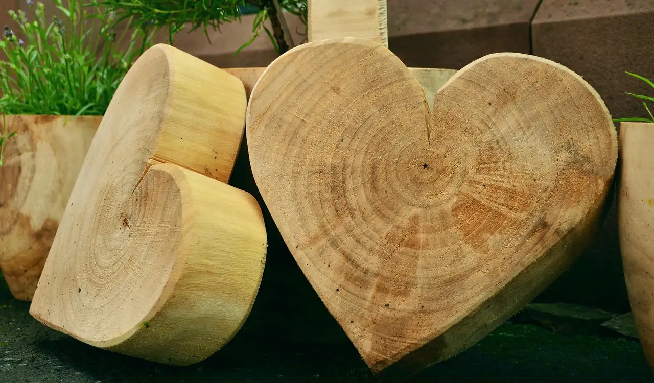 What wood should a beginner use for carving?
