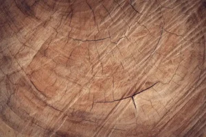 Wood Tone Pairing Chart: Matching Floors, Trim and Furniture